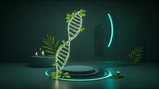 Unlocking the Secrets of Longevity: Travel to Healthier, Happier Futures