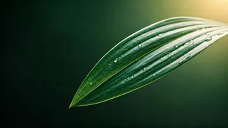 Preity Zinta's Ageless Radiance: Unlock Her 51-Year-Old Glowing Skin Secrets