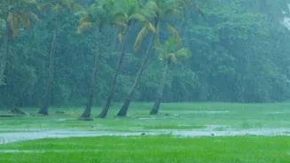 Monsoon Commute Safety Starts Before You Leave Home: Five Tips