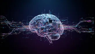 The Main Risk around AI Humaniser Tools Is Forgetting to Disclose Assistance and Verify Original Work
