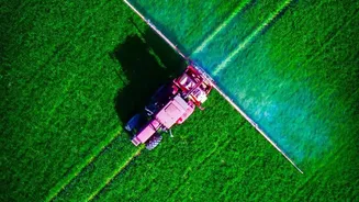 Soundwave Powered Crop Protection Revolutionises Organic Urban Farming Pest Control Today