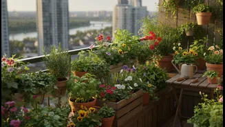 Balcony Gardening Is Becoming A Daily Well-Being Habit In Urban Homes