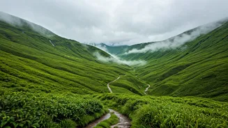 Saputara Gives Rainy Travel A Local Twist