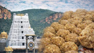 The 'Hawala' Link In Tirupati Laddu Case - Explained