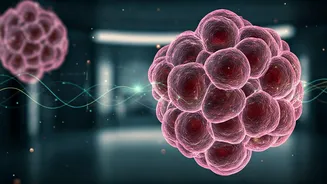 How Advanced Biomarker Sensors Provide Deep Cellular Health Insights