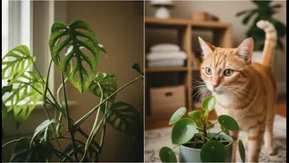 Check Scientific Plant Names Before Bringing New Greenery Into A Pet Home