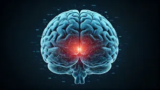 IIM Lucknow Unveils Three Cutting-Edge AI Courses to Shape India's Tech Future