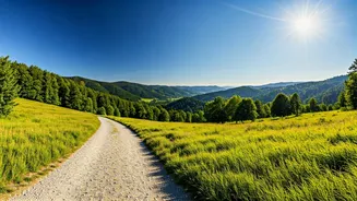 Cooler Hills Beat Sweaty City Summers Again