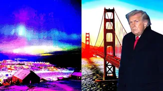 'California Should Come To Denmark': Satirical Petition Counters Trump's Greenland Threat - Who Started It And Why