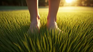 Why Barefoot Grass Mobility Drills Trend Among Urban Gymmers