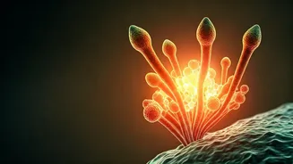 50 Experts Unveil 5 Crucial Steps to Combat Fungal Resistance Threat