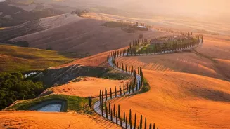 Tuscany Road Trip: Lets Travellers Explore Beyond A Single Tuscan City: With Florence And Siena As Strong Anchors
