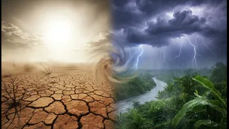 The Difference Between El Niño And La Niña Made Simple