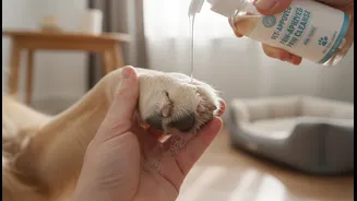 How To Soothe Irritated Fungal Pet Paws Using Safe Non-Toxic Veterinarian Approved Washes