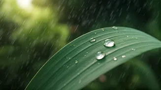 Safe, Fresh And Perfect For Monsoon