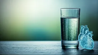 Beyond Thirst: Why Waiting to Drink Water Isn't Enough for Hydration