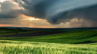 How Monsoon Rain Can Affect The Cost Of Vegetables And Grains