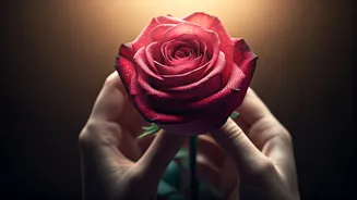 Related Stories banner