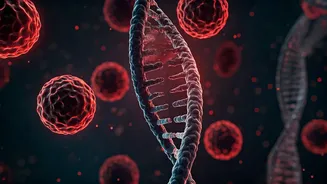 Unveiling the Link: Never Marrying and Elevated Cancer Risk