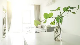 Staying at home could expose you to indoor air pollution