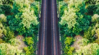 IRCTC's Vandarshan Plan Covers Rail, Road and Forest Entry Logistics