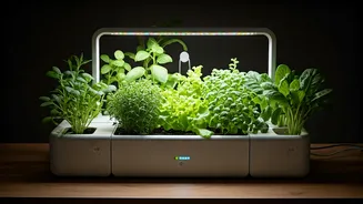 Smart Gardening Is Back In Focus