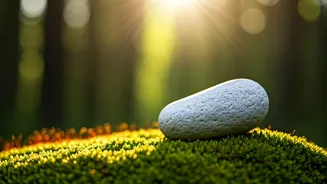 Finding Inner Peace: Forgiveness's Path to Happiness