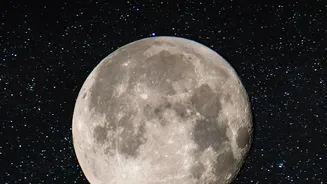 What Happens to Earth Microbes in the Moon's Deep Cold