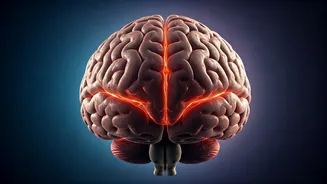 Sleep's Silent Impact: What Lack of Sleep Does to Your Brain