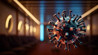 Hantavirus Outbreak Aboard MV Hondius: Inside the Cruise Ship's Health Crisis