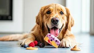 The Easiest Frozen Toy Recipe For Stressed Summer Dogs