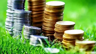 Comparing Equity Mutual Funds: How Index Funds Differ From Multi-Cap Options For Beginners