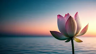 Ethereal Sanskrit Names for Your Baby Girl: Tradition Meets Modern Grace