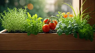 Small Space Gardening Goes Viral Online