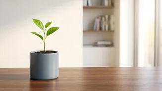 How to move from saving to investing