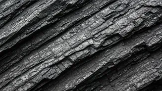 Bharat Coking Coal IPO: Last Chance to Bid?