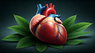 Step Count Revelation: How Few Steps Can Boost Your Lifespan