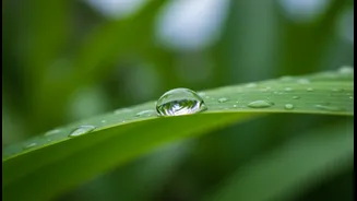 Monsoon Humidity Could Be Affecting Your Skin