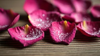Gulkand Is The Floral Flex Indian Desserts Needed