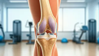 Exercise Helps Knee Pain, New Study Finds