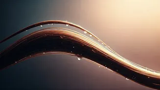 The Right Way To Care For Wet Hair