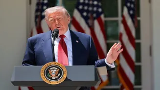 'Hello Greenland': Trump reignites his Arctic ambition with bizarre photo