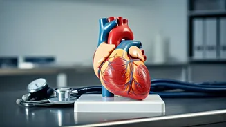 Understanding Your Health: A Practical Guide