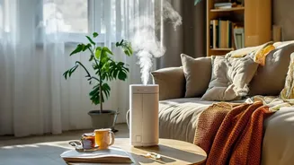 Why Good Airflow Is One of the Simplest Tools Against Indoor Dampness