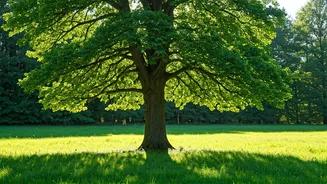 Navigating Uncertainties: Mental Resilience in Challenging Times