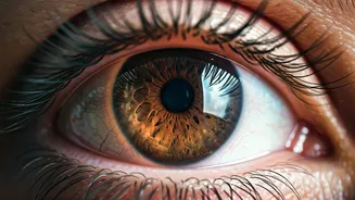 Diabetes and Your Eyes: Unveiling Hidden Risks and Protecting Vision
