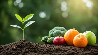 Nutritionists Are Choosing Patience Over Quick Results