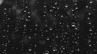 Heavy Rain Outside: When Is It Better To Keep Your Home Closed
