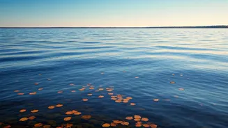 Aquarius's Daily Digest: October 22, 2025