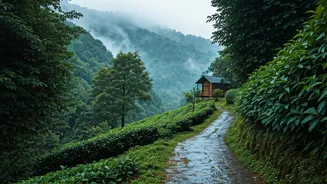 Refresh Your Weekend With These Rainy Season Retreats